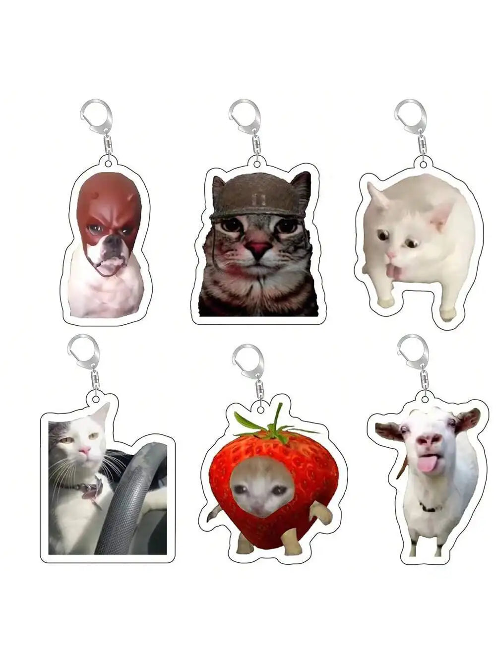 Lustiger Meme Schlüsselanhänger – Acryl Anhänger mit Katze oder Hund – Schlüsselring für Tasche, Auto & Smartphone