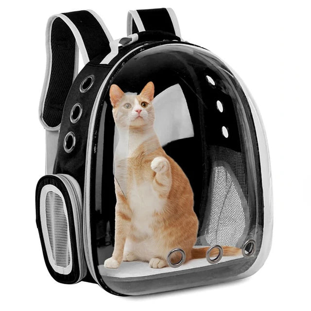 Haustier Rucksack mit Sichtfenster – Transparente Transporttasche für Katzen & kleine Hunde – Atmungsaktive Pet Backpack Space Capsule